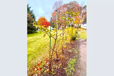 223 Osborn Road, Naugatuck, CT 06770 - Photo 12