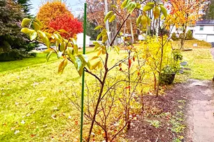 223 Osborn Rd, Naugatuck, CT 06770 - Photo 12