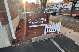 119 Frederick St, New Haven, CT 06515 - Photo 14