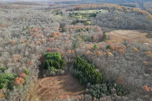 559 East St, Hebron, CT 06248 - Photo 36