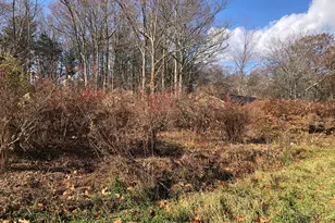 11 Shantry Rd, Colebrook, CT 06021 - Photo 12