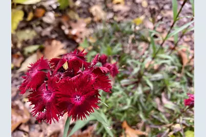 841 Ridge Road, Wethersfield, CT 06109 - Photo 22