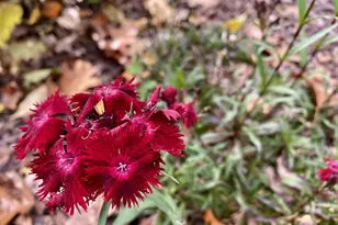 841 Ridge Rd, Wethersfield, CT 06109 - Photo 22