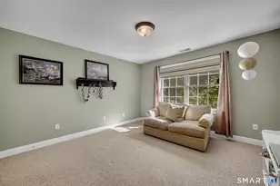 99 Plumb Brook Rd, Woodbury, CT 06798 - Photo 28