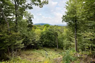 8 Tokone Hills Rd, Salisbury, CT 06039 - Photo 4