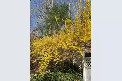 85 McVeagh Road, Westbrook, CT 06498 - Photo 10