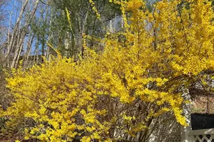 85 McVeagh Rd, Westbrook, CT 06498 - Photo 10