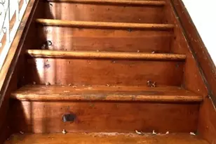 62 Huntington Rd, New Haven, CT 06512 - Photo 8