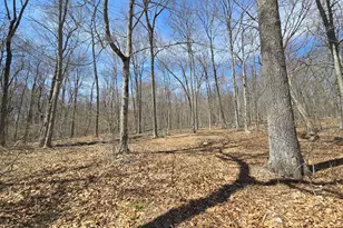 169 Scott Hill Rd, Salem, CT 06420 - Photo 8