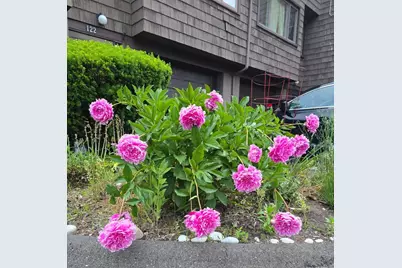 122 Towne House Road #122, Hamden, CT 06514 - Photo 22