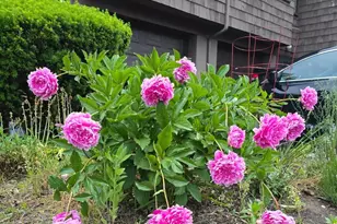 122 Towne House Rd, Hamden, CT 06514 - Photo 22