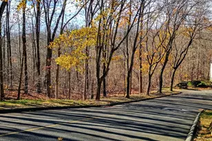 380 Hitchcock Rd, Waterbury, CT 06705 - Photo 16