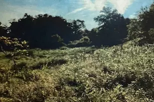 201 New Cheshire Rd, Wallingford, CT 06492 - Photo 1