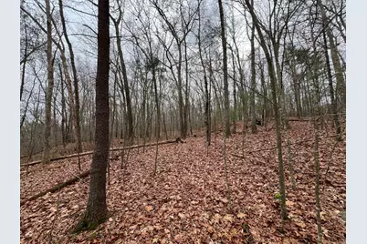 Wilsonville Road, Thompson, CT 06277 - Photo 6