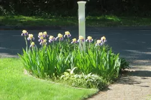 52 Wood Creek Rd, Burlington, CT 06013 - Photo 38