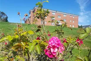 185 Melba St, Milford, CT 06460 - Photo 2