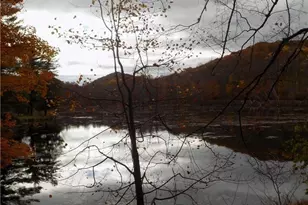 64 Big Bear Hill Rd, New Milford, CT 06776 - Photo 22