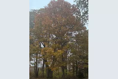 74 Baxter Road, Mansfield, CT 06268 - Photo 4