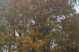 74 Baxter Rd, Mansfield, CT 06268 - Photo 4