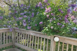 64 Woodrow Ave, Norwich, CT 06360 - Photo 30