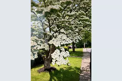 64 Woodrow Avenue, Norwich, CT 06360 - Photo 32