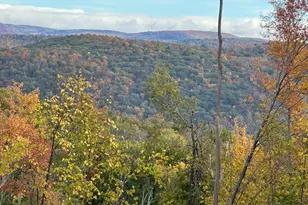 39 Swaller Hill Rd, Sharon, CT 06069 - Photo 1