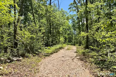 Swaller Hill Road, Sharon, CT 06069 - Photo 8
