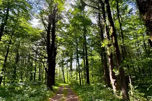 764 E Hill Rd, New Marlborough, MA 01230 - Photo 32