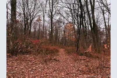 72D Walnut Street, Seymour, CT 06483 - Photo 4