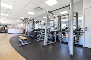 127 Greyrock Pl, Stamford, CT 06901 - Photo 16