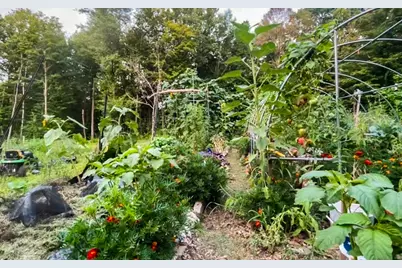 53 Skinner Hill Road, Andover, CT 06232 - Photo 34