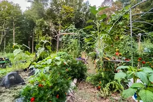 53 Skinner Hill Rd, Andover, CT 06232 - Photo 34