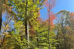 Brook Rd, Hampton, CT 06247 - Photo 1