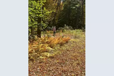 Brook Road #lot 4, Hampton, CT 06247 - Photo 2
