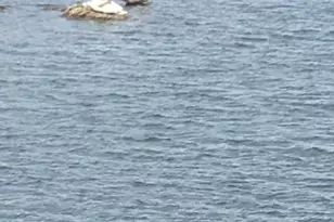 124 East St, Wolcott, CT 06716 - Photo 34