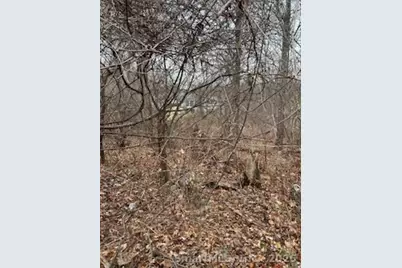 28 Tower Lane, Naugatuck, CT 06770 - Photo 4