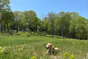 415 South St, Litchfield, CT 06759 - Photo 4