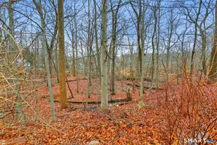 9 Hollow Spring Rd, Norwalk, CT 06854 - Photo 40