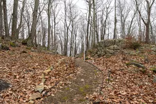 286 Weatherly Trail, Guilford, CT 06437 - Photo 38