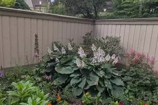 496 Heritage Vlg, Southbury, CT 06488 - Photo 6