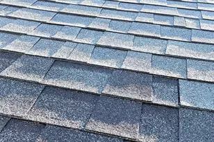 76 3rd St, New Haven, CT 06519 - Photo 14