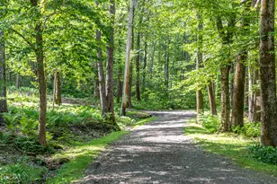 203 Brick School Rd, Warren, CT 06754 - Photo 38