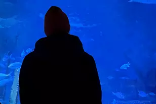 33 N Water St, Norwalk, CT 06854 - Photo 38