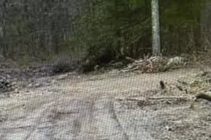 25 Matthew Ln, Windsor, CT 06095 - Photo 2