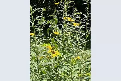 108 Hobart Street, Southington, CT 06489 - Photo 36