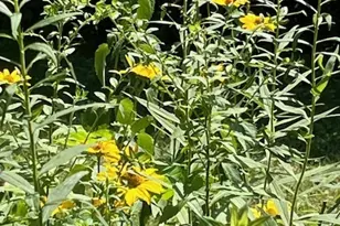 108 Hobart St, Southington, CT 06489 - Photo 36