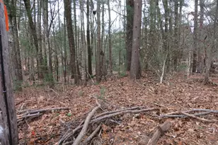 76 White Sands Rd, East Haddam, CT 06469 - Photo 4