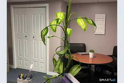 284 Merrow Road, Tolland, CT 06084 - Photo 36