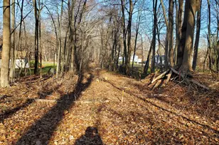 292 Deerfield Dr, Hamden, CT 06518 - Photo 1