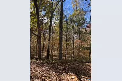 87 Buff Cap Road, Tolland, CT 06084 - Photo 4